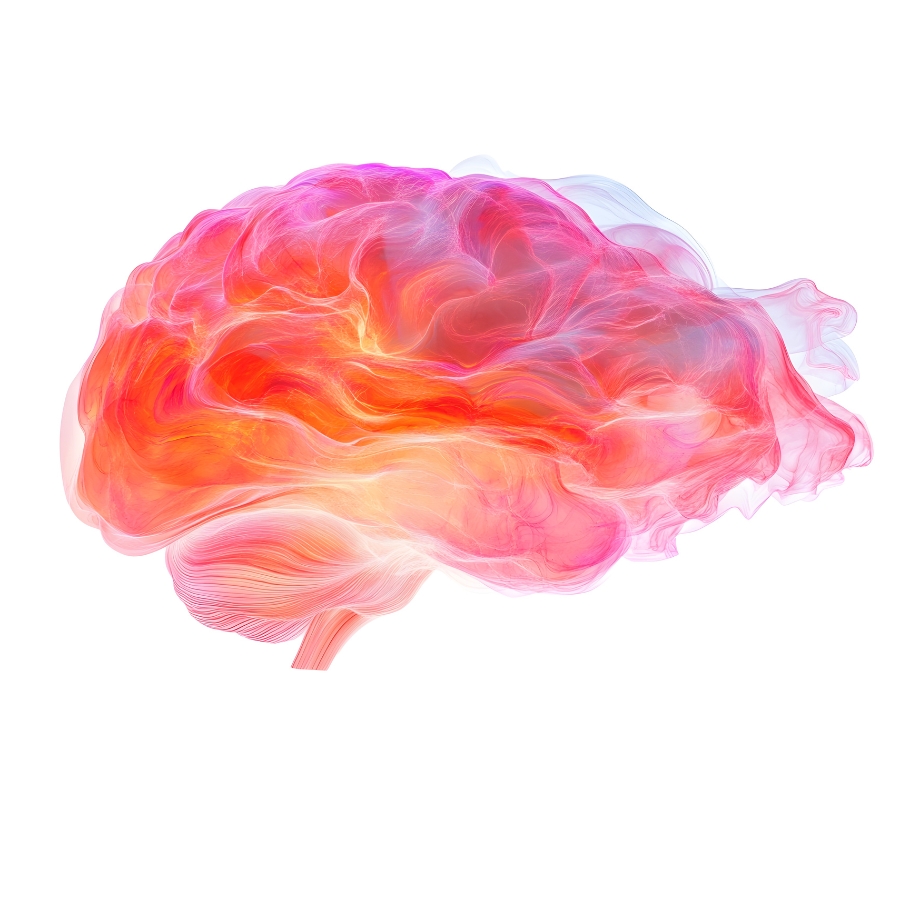 Visual mit farbigem Gehirn als Symbol für mentale Gesundheit, Resilienz und persönliche Entwicklung im Coaching.